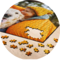 descubre los puzzles fotográficos.